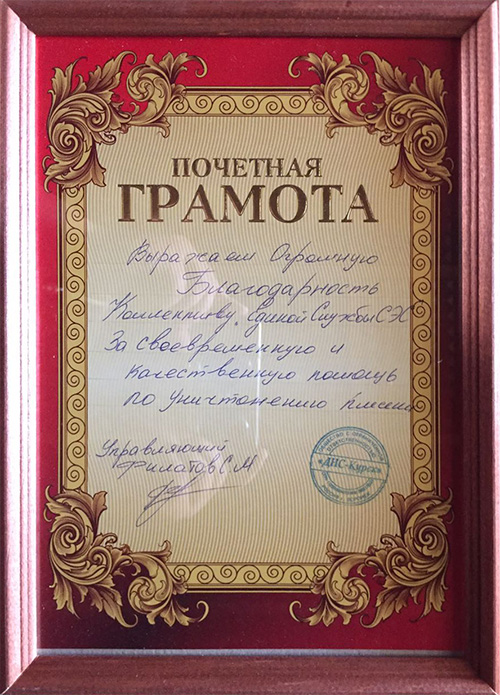 Единая служба СЭС